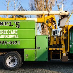Lionel's Tree Care & Removal