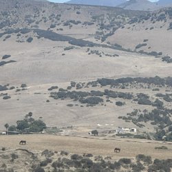 El Campirano - Mountain View with horses grazing in the distance.