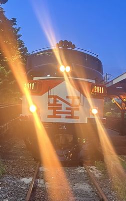 Cape Cod Central Railroad by null