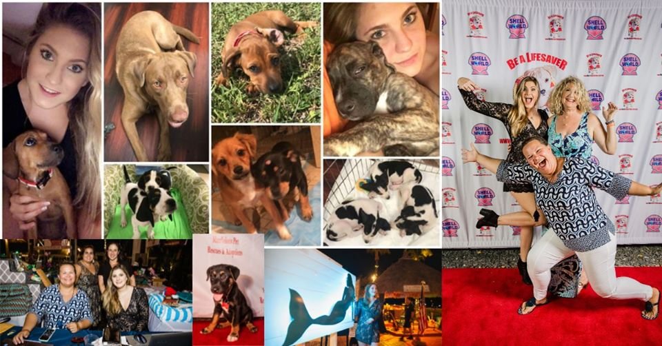 Marrvelous Pet Rescue Image