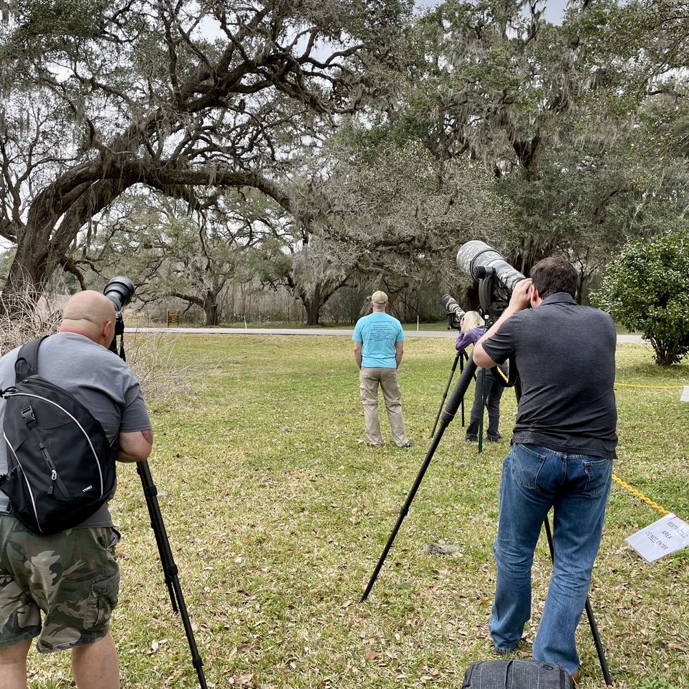 Brazos Bend State Park - Professional photographers getting pics of a mama Great Horned Owl who just had 2 babies. - Parks Near Me - Needville, Texas