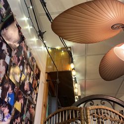 Udon Sushi Restaurant - Good vibes