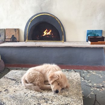 Bow Wow Lounge - Oh for the days when our 70 pound golden fit in a southwest bag under our seat! - Dog Walkers Near Me - Chicago, Illinois