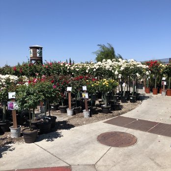 Green Acres Nursery & Supply - Nurseries & Gardening Near Me - Folsom, California Green Acres Nursery & Supply - Nurseries & Gardening Near Me - Folsom, California