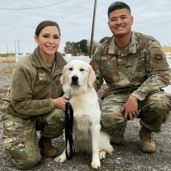 My Clever Canine Dog Training - Military discounts available!
