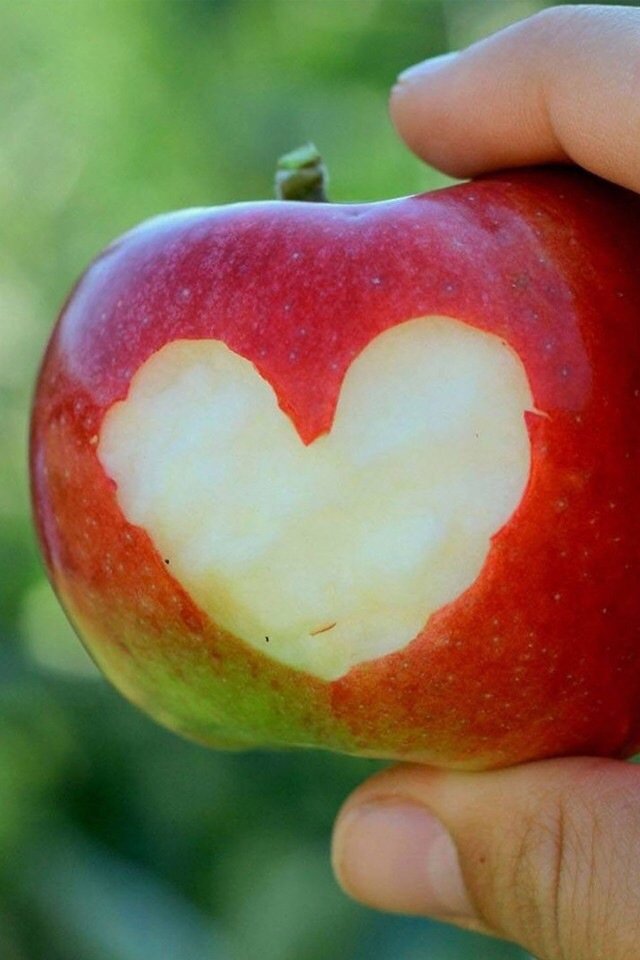 Academic Accolades - childcare center in Mesa, AZ