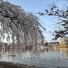 East Potomac Park gift card