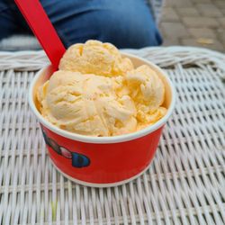 The Scoop