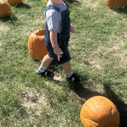 Jahn's Pumpkin Hill - Pumpkin Patch