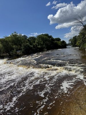 Estabrook Beer Garden by null