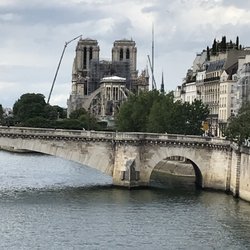 Notre Dame View