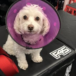 F45 Training Pacific Beach