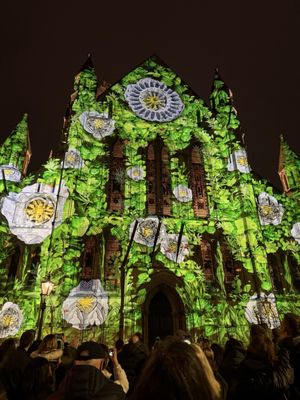 York Minster by null
