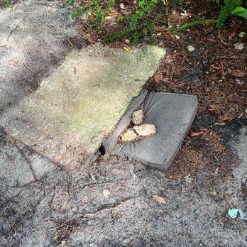 A1 Septic Service - Septic Services Near Me - Jacksonville, Florida A1 Septic Service - Septic Services Near Me - Jacksonville, Florida