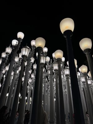 Public Art "Levitated Mass" by null