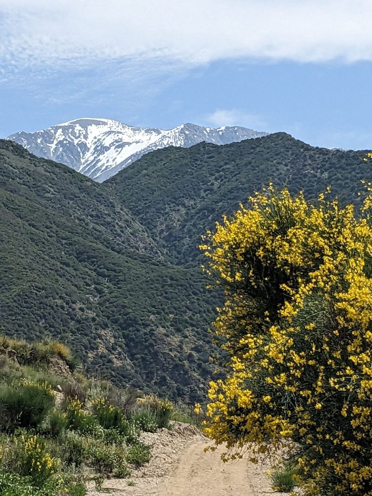 SHOEMAKER CANYON ROAD HIKING TRAIL 20 Photos Azusa, California