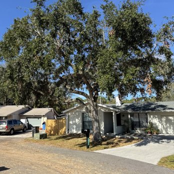 PorTree - Tree Services Near Me