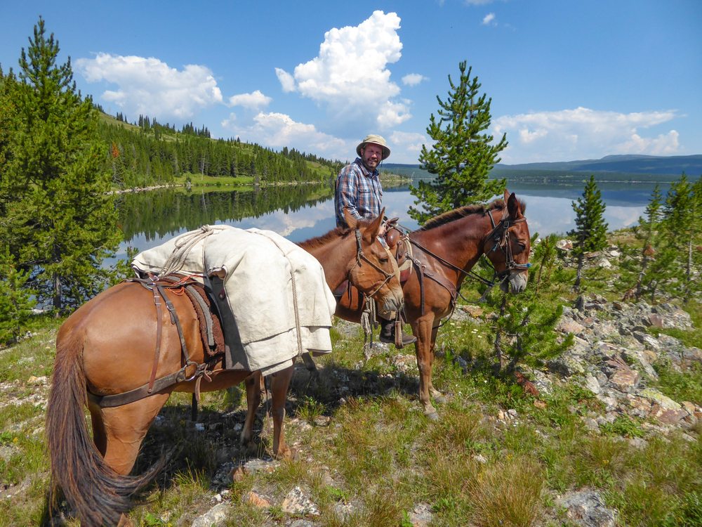Portneuf River Back Country Horsemen Logo