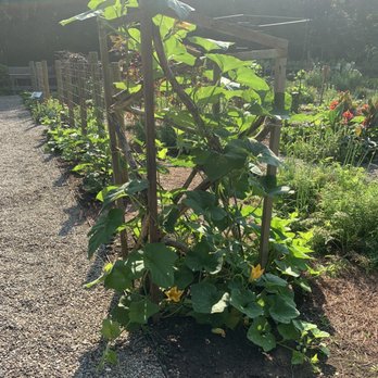 Tyler Arboretum - Summer Camps Near Me - Media, Pennsylvania