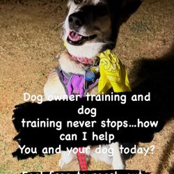 ZeWoof - Laika begging upon command