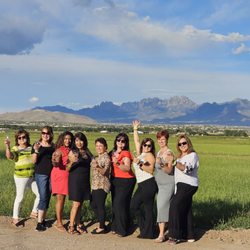 Mesilla Valley Wine & Brew Tours - Grab the girls and celebrate your achievements with a wine tour!