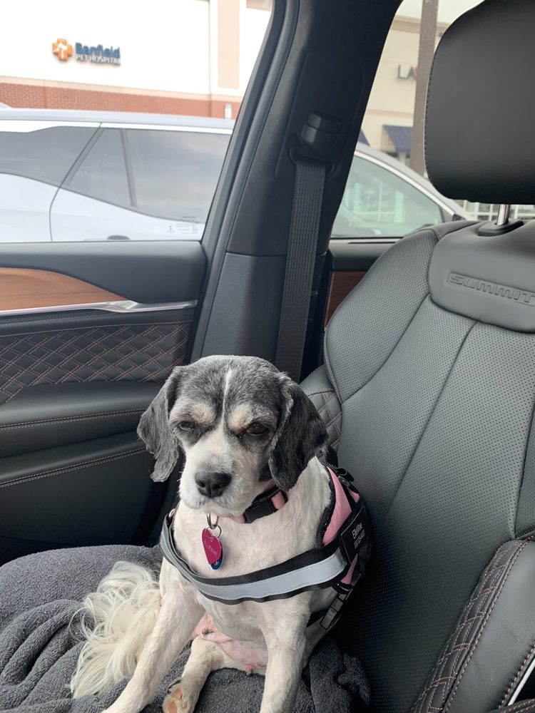 WAYNE COUNTY HUMANE SOCIETY Updated September 2024 1161 Mechanicsburg Rd, Wooster, Ohio