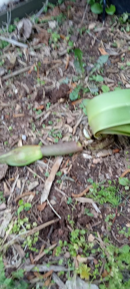 Slide of Lifetime Roofs