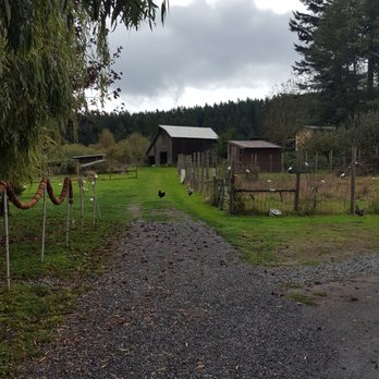 Buck Bay Shellfish Farm - Seafood Markets Near Me - Olga, Washington Buck Bay Shellfish Farm - Seafood Markets Near Me - Olga, Washington