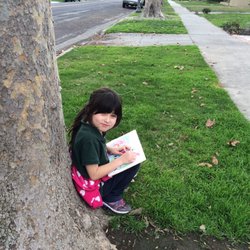 Little Free Library