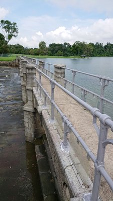 Lower Peirce Reservoir Park by null