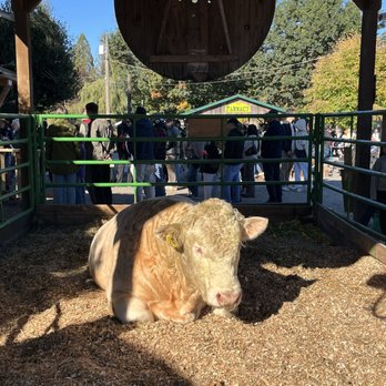 Aldor Acres - Farms Near Me - Langley, British Columbia