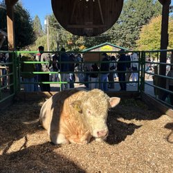 Aldor Acres