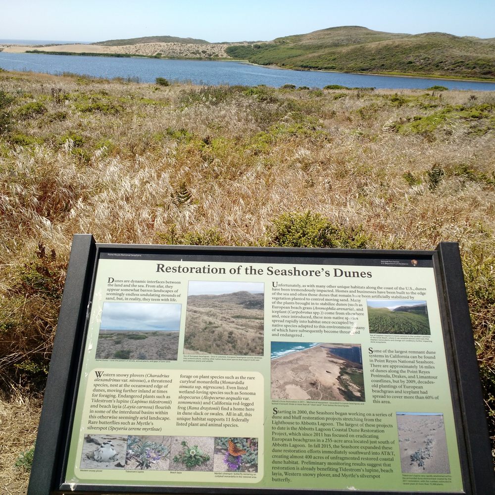 Abbotts Lagoon - Nearby lake - Beaches Near Me - Inverness, California Abbotts Lagoon - Nearby lake - Beaches Near Me - Inverness, California
