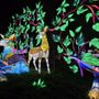 Photo of Chinese Lantern Festival
