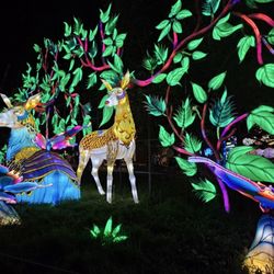 Chinese Lantern Festival