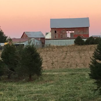 TLV Tree Farm - a red barn in the distance - Farmers Market Near Me - Glenelg, Maryland TLV Tree Farm - a red barn in the distance - Farmers Market Near Me - Glenelg, Maryland