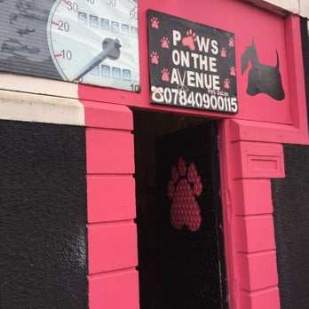 Paws On The Avenue - Pet Groomers Near Me - Belfast, BFS