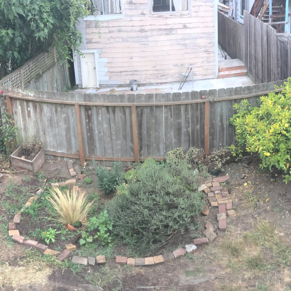Flourish Gardening - My sad little backyard before Flourish Gardening came to the rescue. - Landscaping Near Me - San Francisco, California Flourish Gardening - My sad little backyard before Flourish Gardening came to the rescue. - Landscaping Near Me - San Francisco, California