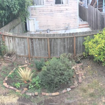 Flourish Gardening - My sad little backyard before Flourish Gardening came to the rescue. - Landscaping Near Me - San Francisco, California