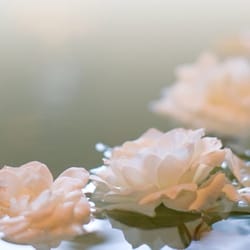 Dreams Day Spa - Using essential oils can be very beneficial to the body, and we are trained to use them for all individuals.