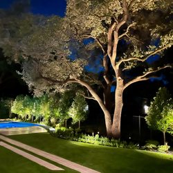 user provided Blooming Colors Nursery photo