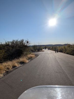 Sabino Canyon Recreation Area by null