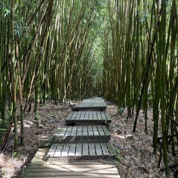 Pipiwai Trail - Hiking Near Me - Hana,, Hawaii