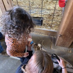 Real Life Daycamp and Farm