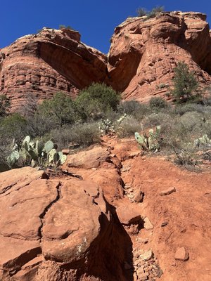 Birthing Cave by null