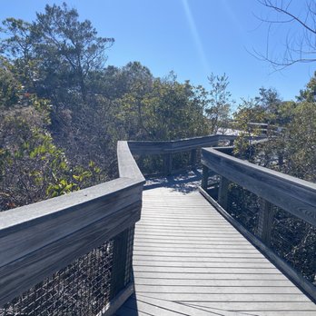 Deer Lake State Park - Boardwalk toward beach - Parks Near Me - Santa Rosa Beach, Florida Deer Lake State Park - Boardwalk toward beach - Parks Near Me - Santa Rosa Beach, Florida
