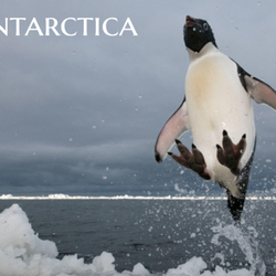 The Cruise Travellers - Discover the white wilderness of Antarctica