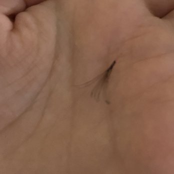 V.T Nail Spa & Lashes - The eyelashes - Nail Salons Near Me - Pueblo, Colorado V.T Nail Spa & Lashes - The eyelashes - Nail Salons Near Me - Pueblo, Colorado