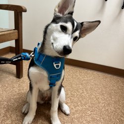 Montecito Animal Clinic