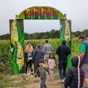 Page Farms - Fruits & Veggies Near Me - Raleigh, North Carolina Page Farms - Fruits & Veggies Near Me - Raleigh, North Carolina